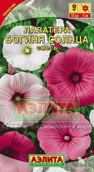 Лаватера Богиня солнца, смесь окрасок