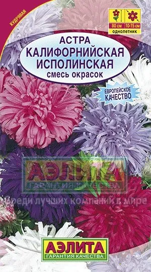 Астра Калифорнийская исполинская, смесь окрасок ц/п