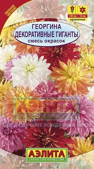 Георгина Декоративные гиганты, смесь окрасок, ц/п