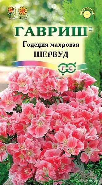 Годеция Шервуд махровая* 0,1 г
