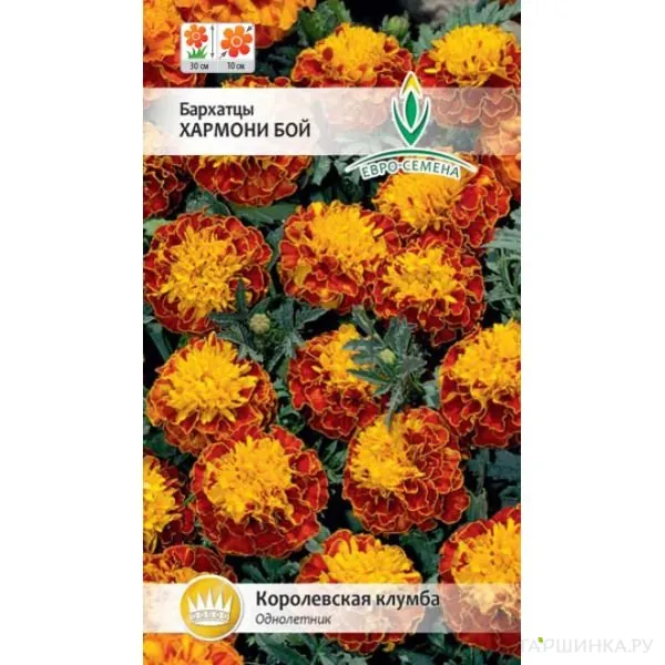 Бархатцы Хармони Бой отклоненные, смесь окрасок ц/п