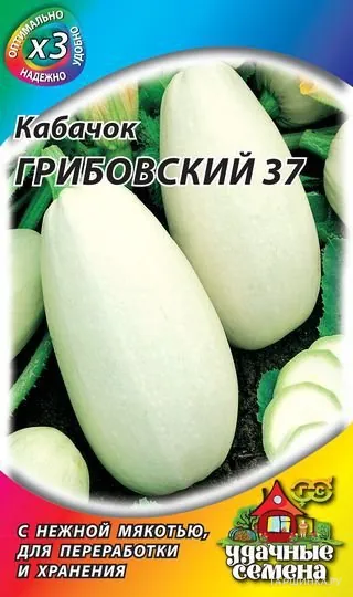 Кабачок Грибовские 37