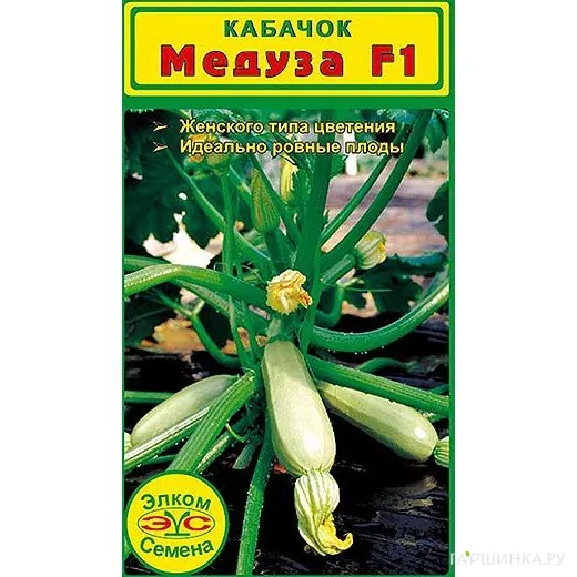 Кабачок Медуза F1 (5 сем.)