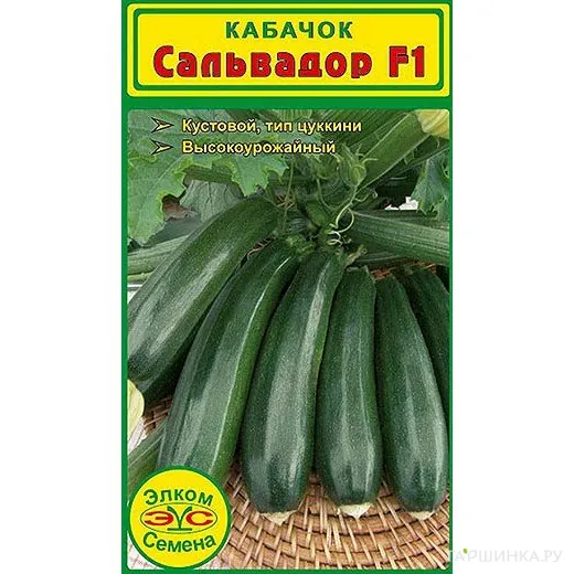 Кабачок Сальвадор F1 (5 сем.)