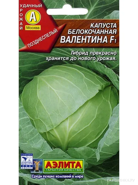 Капуста Валентина F1 белокочанная, Семена Лидер