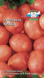 Картофель Краса 0,02 г, Семена Седек