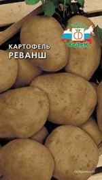 Картофель Реванш, Семена Седек