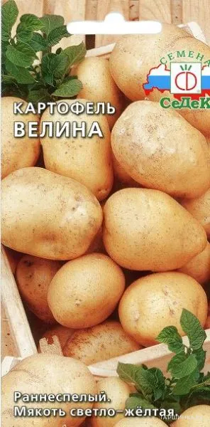 Картофель Велина