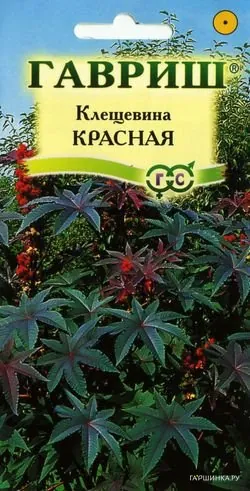 Клещевина Красная 5 шт.