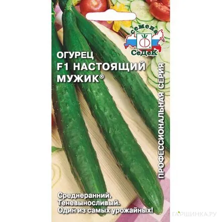 Огурец Настоящий мужик F1 (Евро, 0,2, 7260)