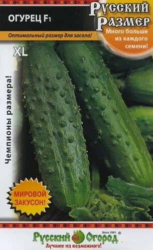 Огурец Русский размер F1 10шт