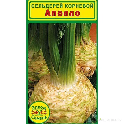 Сельдерей корневой Аполло (0,5 гр.)