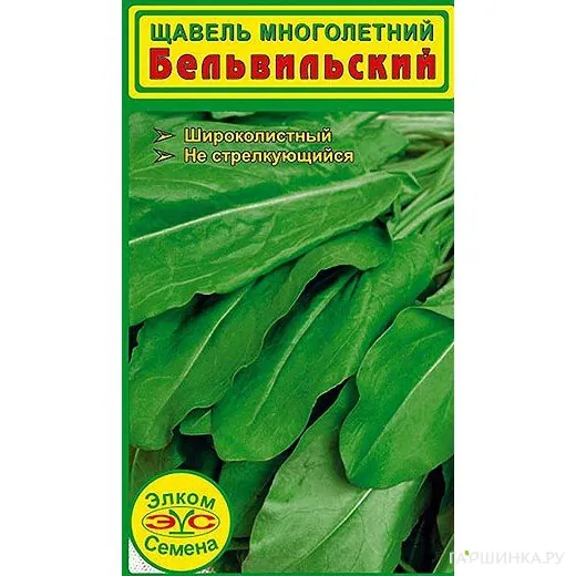 Щавель Бельвильский (1 гр.)