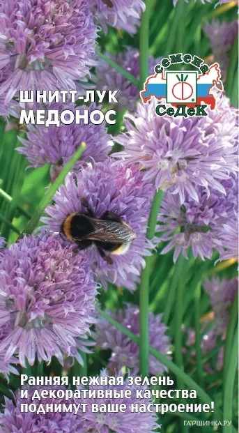 Лук Шнитт Медонос