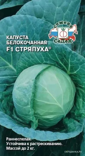 Капуста Стряпуха F1 белокочанная