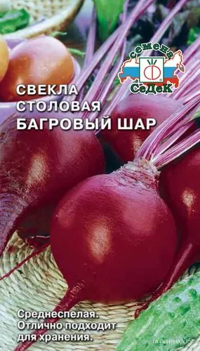 Свекла Багровый Шар