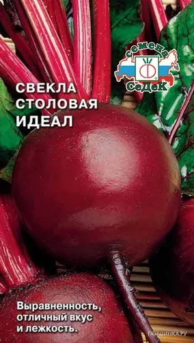Свекла Идеал (Евро, 3, 7011*)