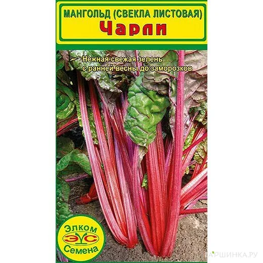Свекла листовая Мангольд Чарли (1 гр.)