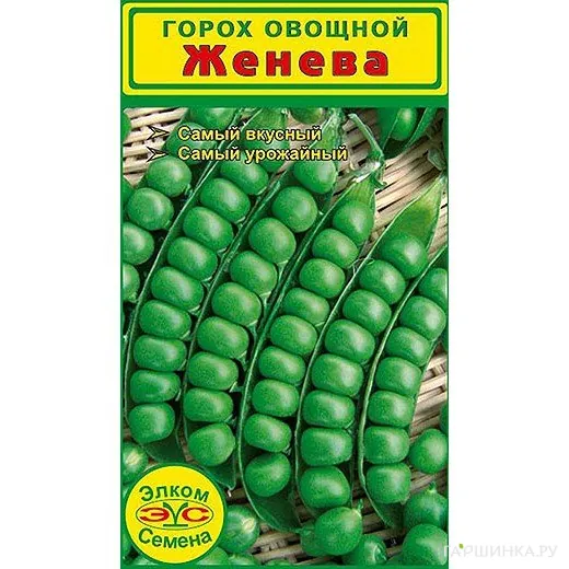 Горох овощной Женева (5 гр.)