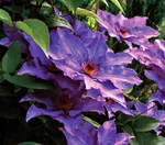 Президент-3