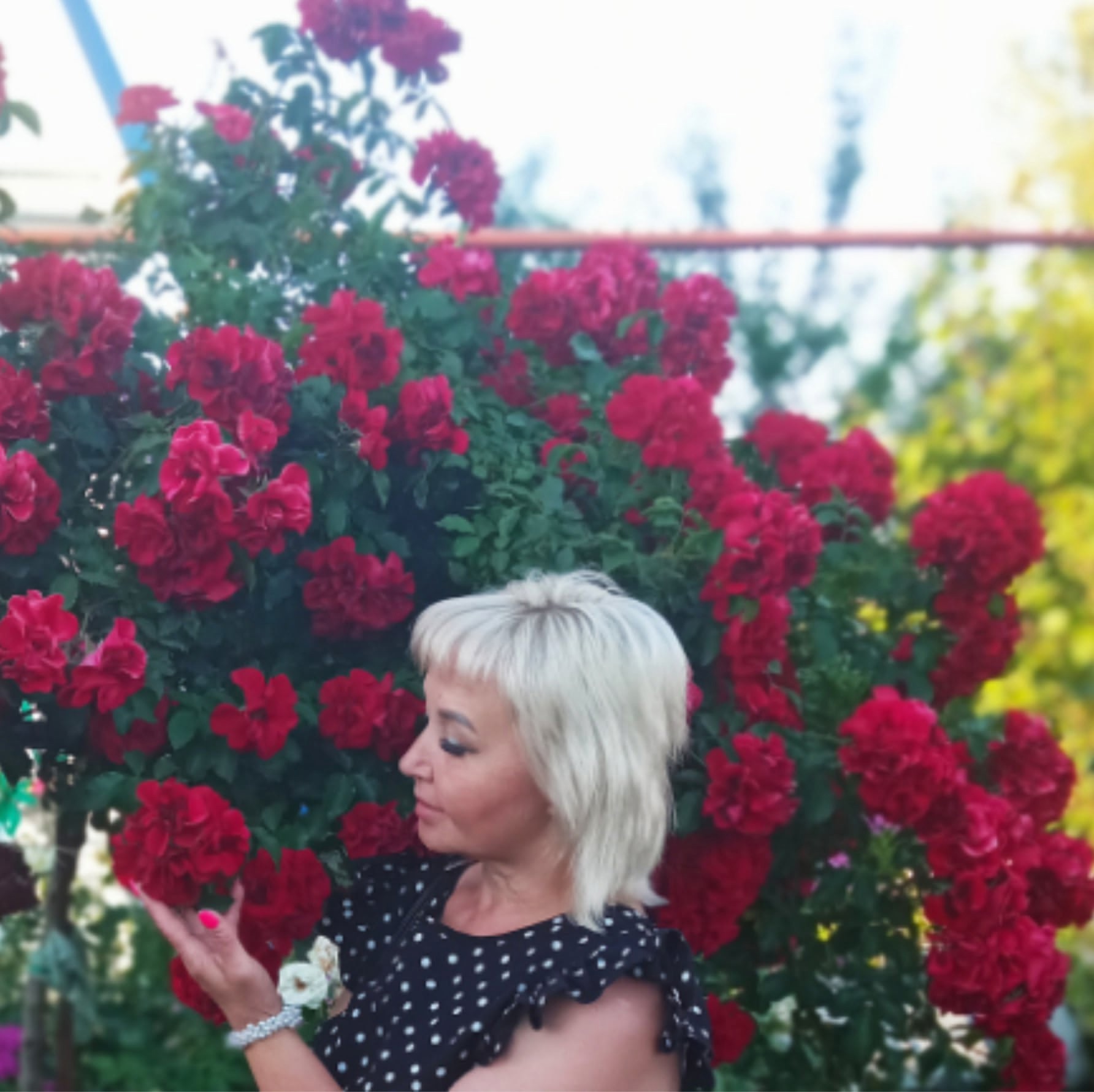 конкурс садов Гаршинка