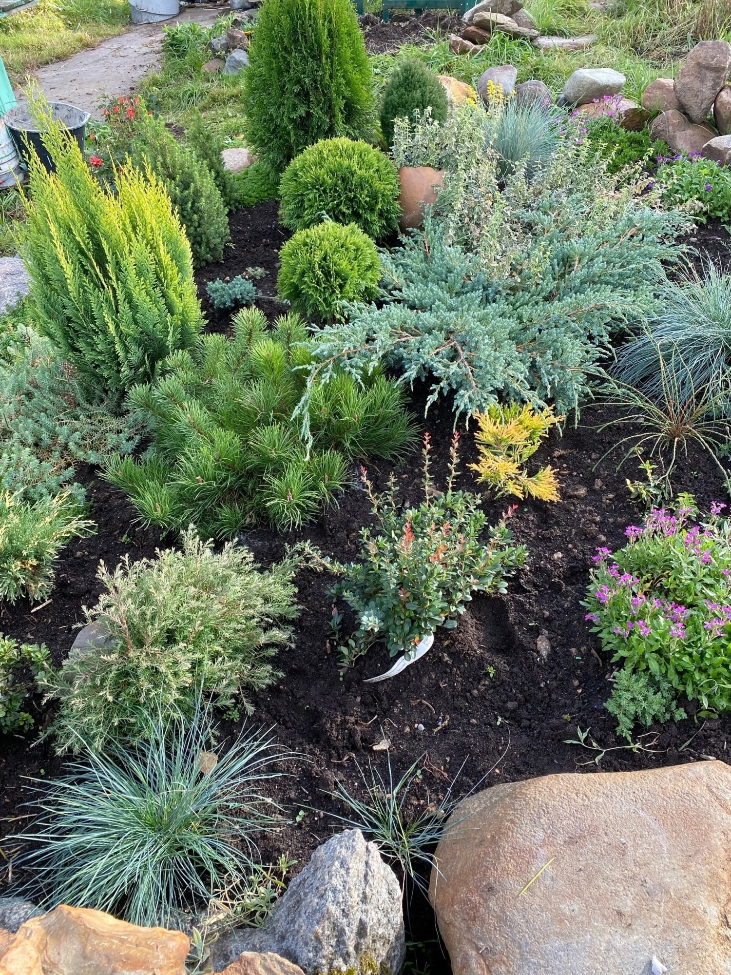 конкурс садов Гаршинка