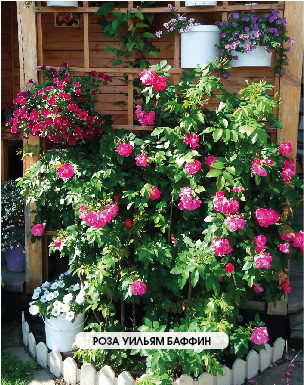 Уильям Баффин канадская парковая Гаршинка.ру