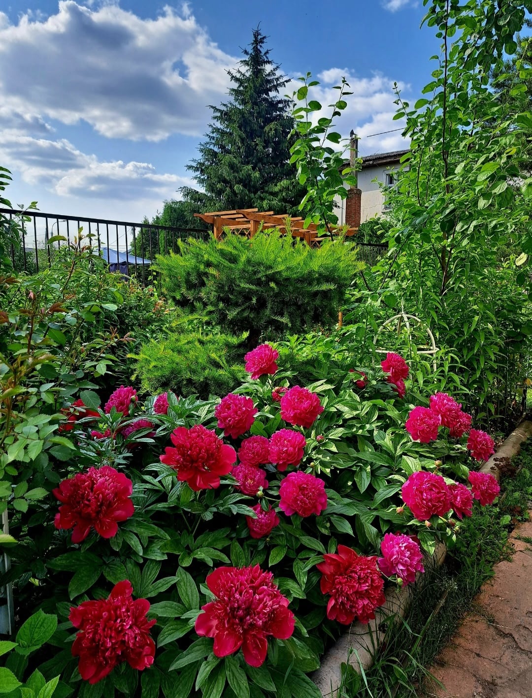 конкурс садов Гаршинка