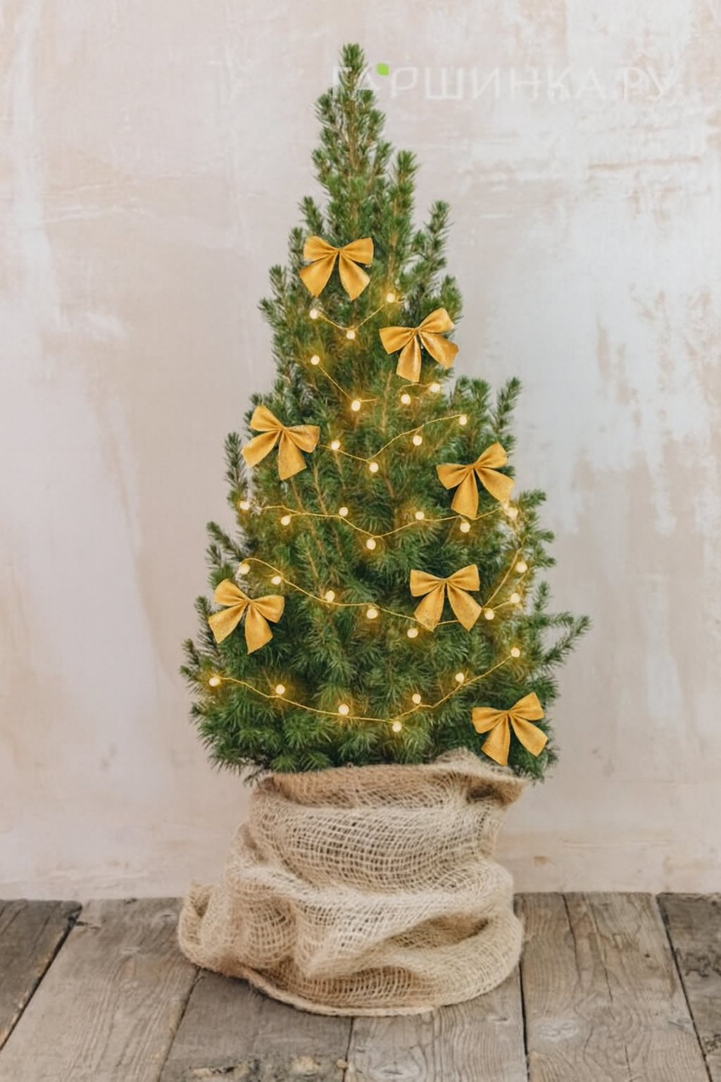 Изобильный Новый год