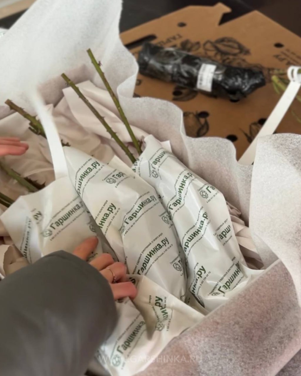 Упаковка канадские парковые розы с доставкой