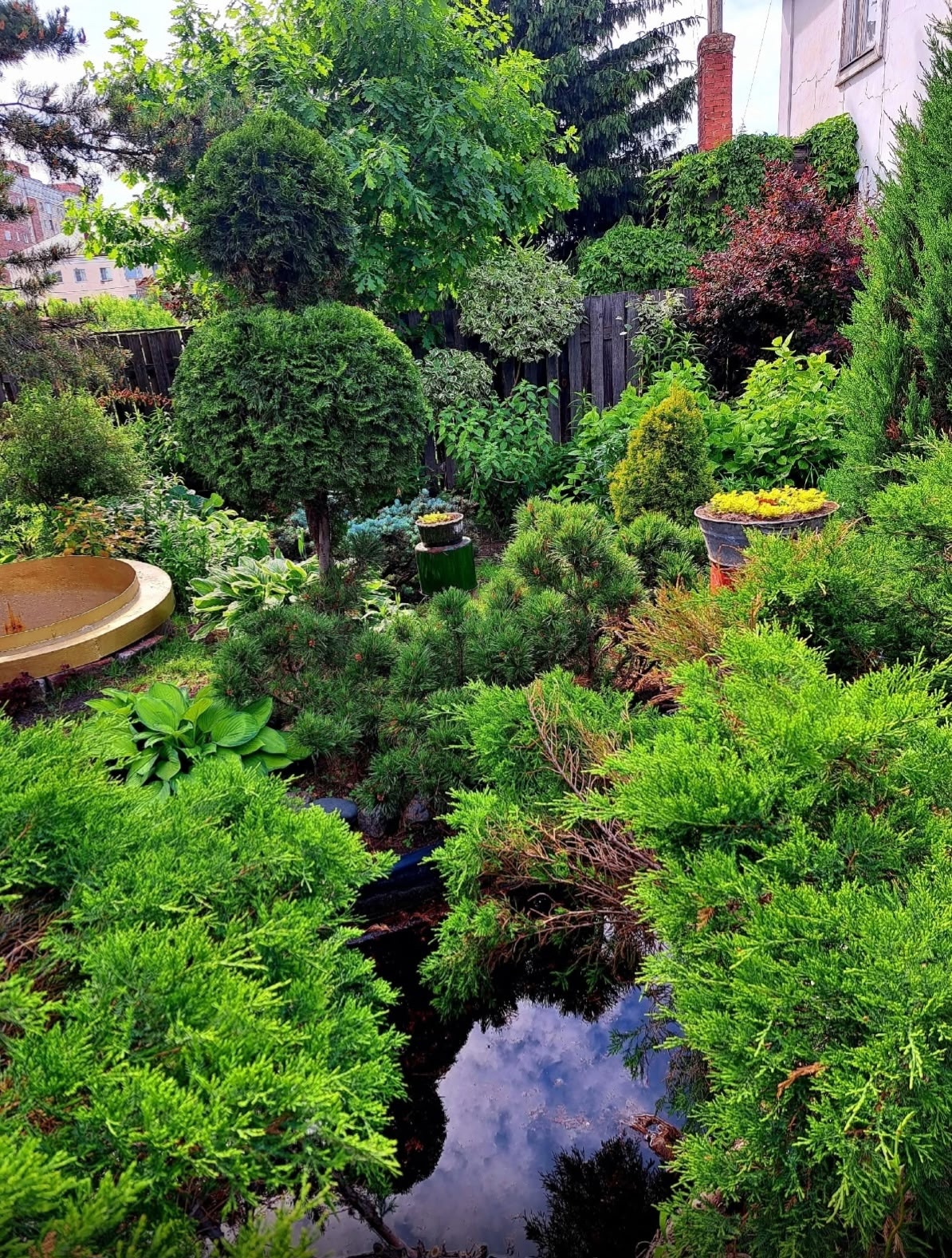 конкурс садов Гаршинка