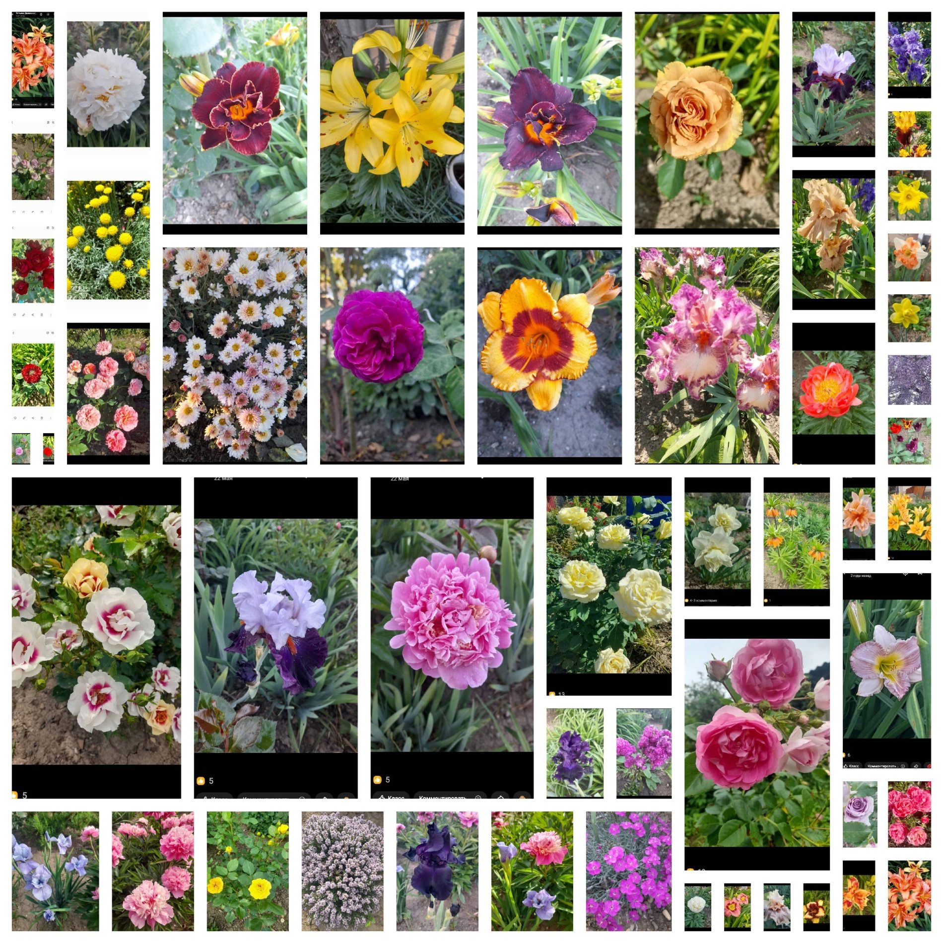 конкурс садов Гаршинка