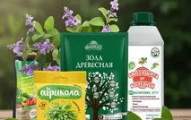 Препараты и удобрения