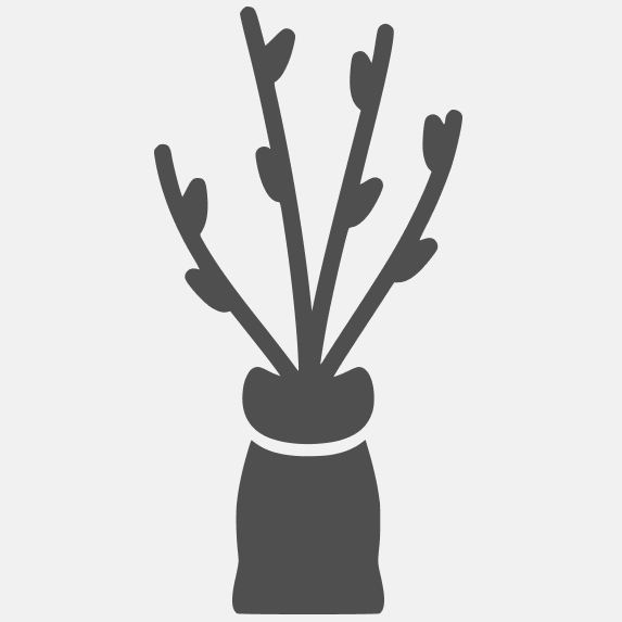 привитые саженцы (корни в брикете с грунтом)