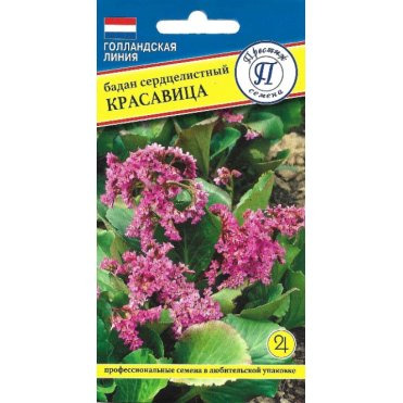 Бадан Красавица 10 шт, Семена Престиж