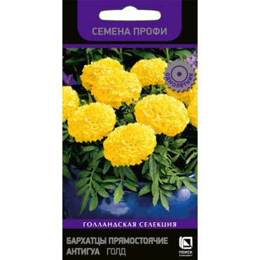 Бархатцы Антигуа Голд 15 прямостоячие, Семена Поиск