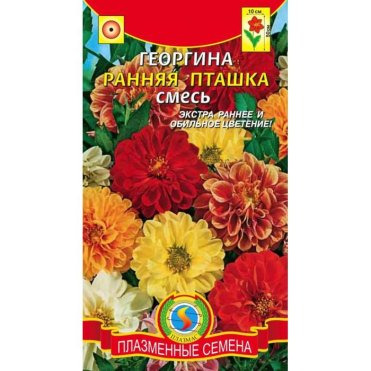 Георгина Ранняя пташка, смесь, 12 шт, Плазменные семена