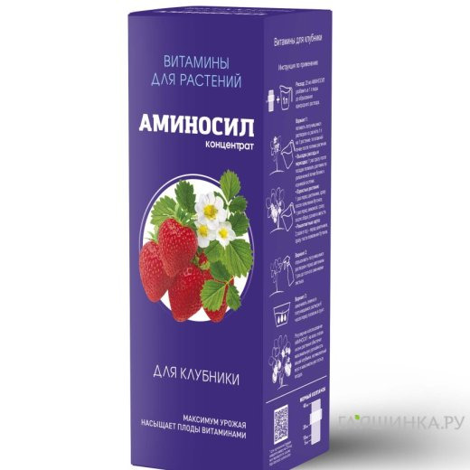Аминосил для клубники