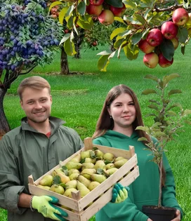 Плодовые растения
