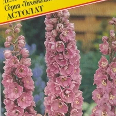 Дельфиниум Астолат (Тихоок.великаны) 0,05 г, Семена Престиж