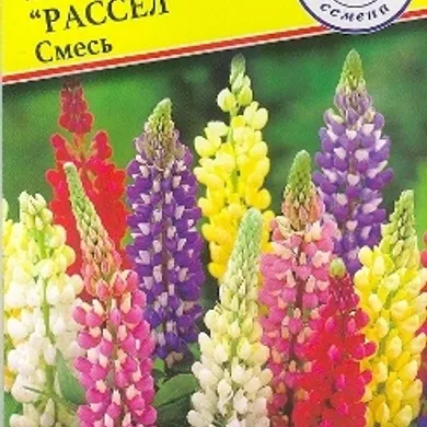 Люпин многолистный Рассел смесь 15 шт, Семена Престиж