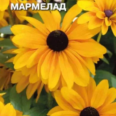 Рудбекия Мармелад 0,1 г, Плазменные семена