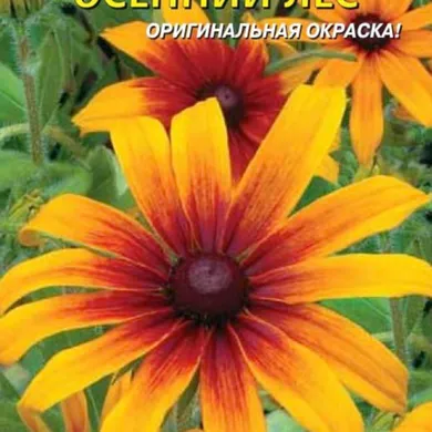 Рудбекия Осенний лес  0,1 гр Плазменные семена
