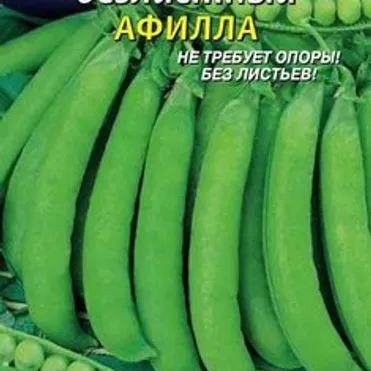 Горох Афилла