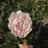 Зоя's userpic'