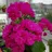 Диана's userpic'