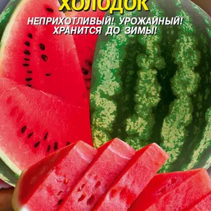 Арбуз Холодок 1 г Плазменные семена 29₽