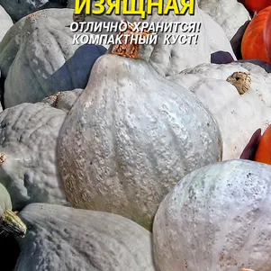 Тыква Изящная 2 г Плазменные семена 29₽