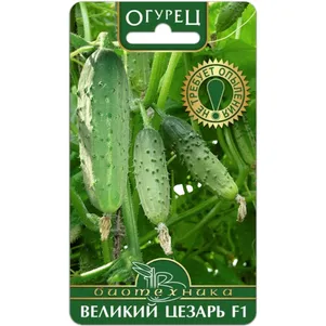 Огурец Великий Цезарь F1, Семена Биотехника