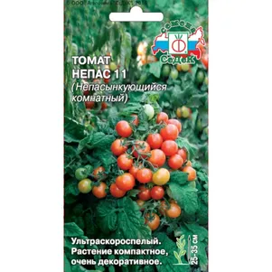 Томат Непас-11 (непасынкующийся) комнатный 0,1 г ц/п, Семена Седек
